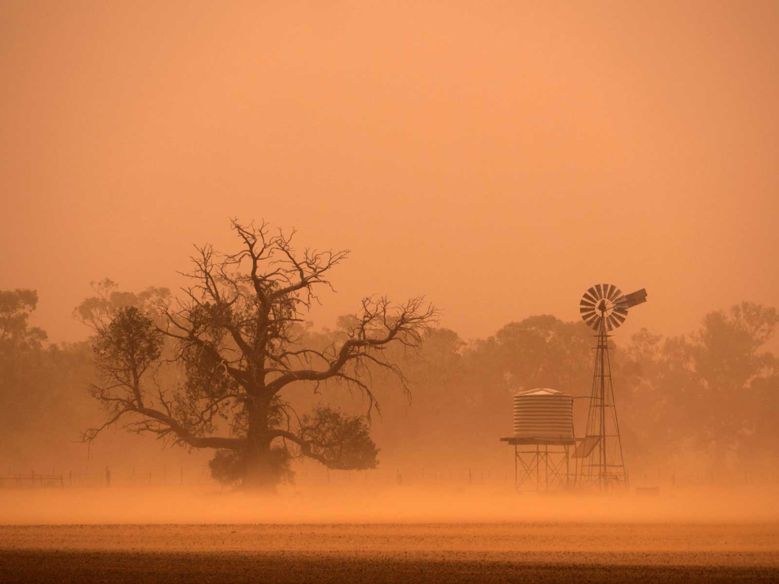  environmental-forecasting_1