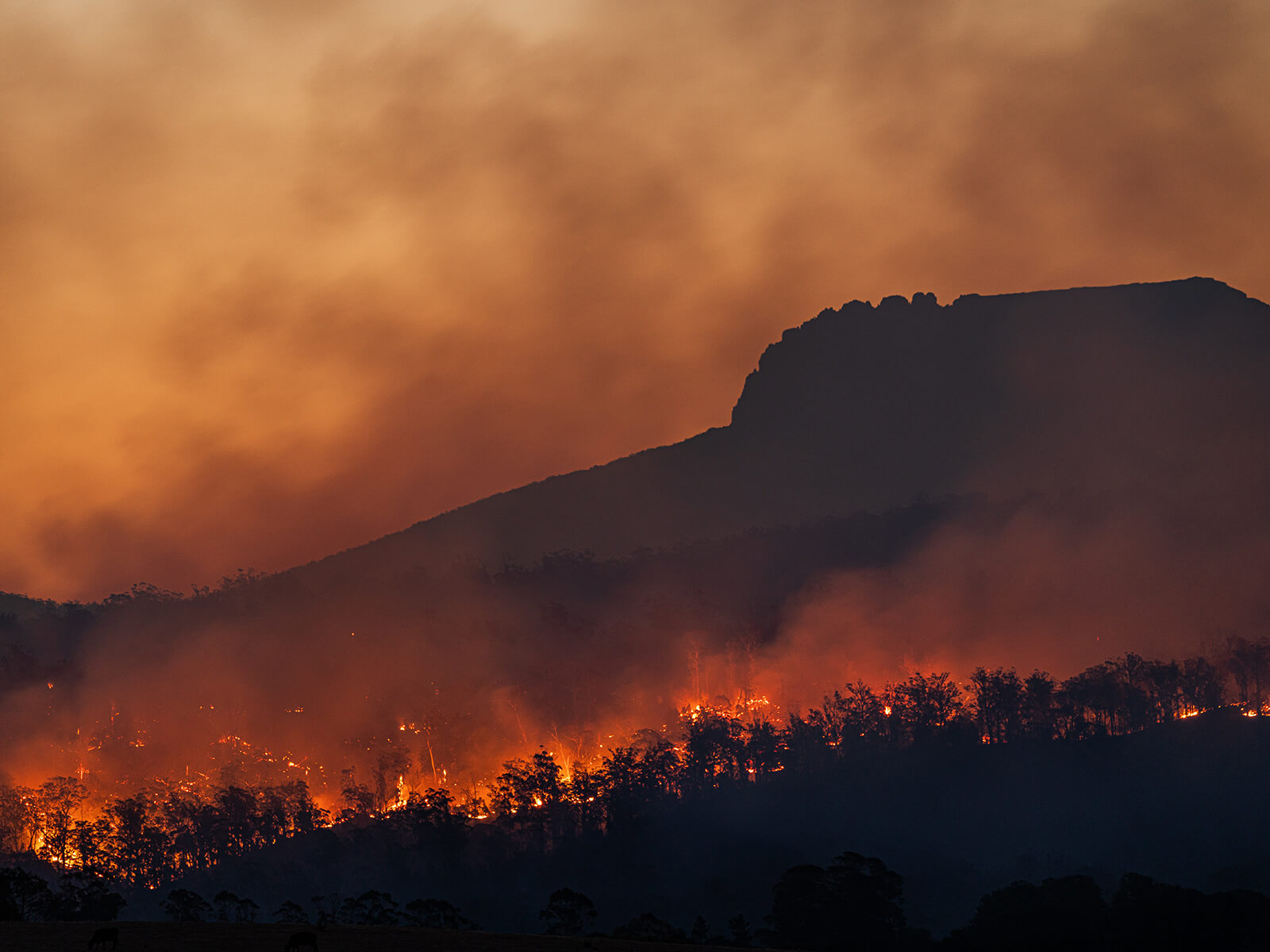 consequences of climate change
