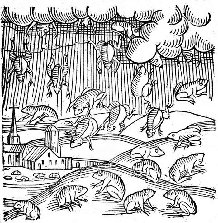 Гравюра на дереве 1557 года, на которой изображен дождь из лягушек в Скандинавии ©livescience.com 