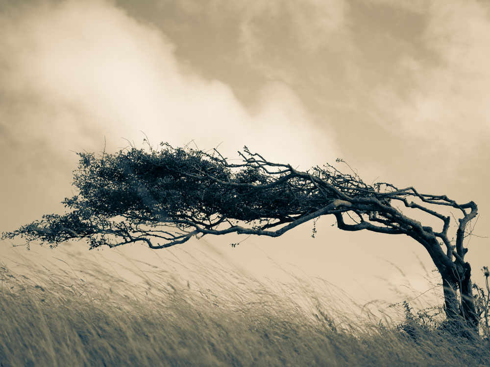 У ветра много имен