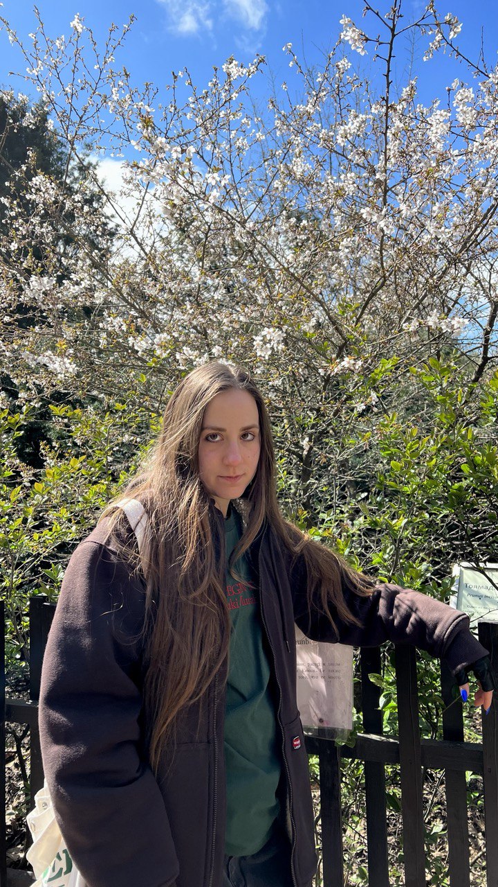 Алиса Соловых